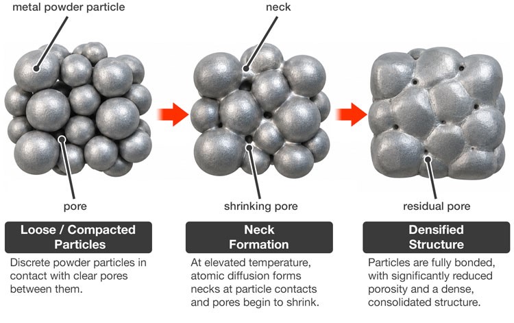Microscopic Stages of Sintering